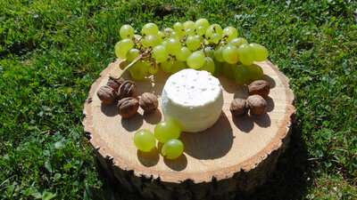 Crottin nature frais
