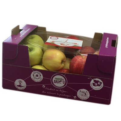 2.5 kg de pomme ancienne 95gr et +