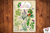 Déco en métal – herbier – plantes porte-bonheur