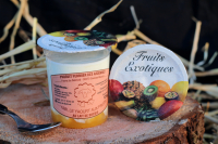 Yaourt de brebis / lit de fruits exotiques