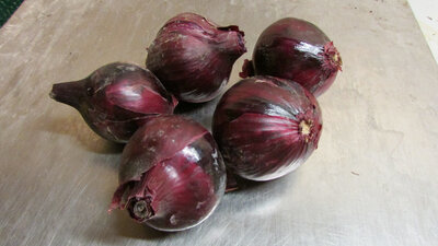 5 oignons rouge
