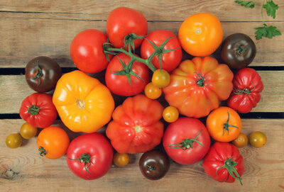 Tomates bio
