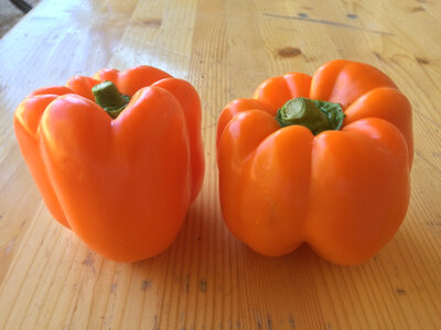 Poivron orange
