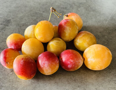 Prune mirabelle