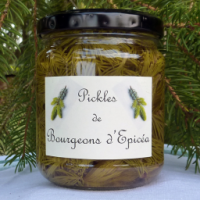 Pickles de bourgeons d'épicéa