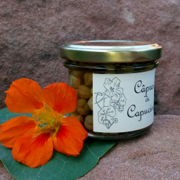 Câpres de capucine