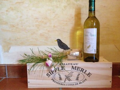 Château siffle merle sauvignon blan