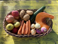Panier de fruits et légumes de saison