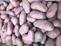 Pommes de terre cherie