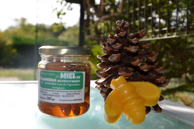 Miel de printemps et amandes bio