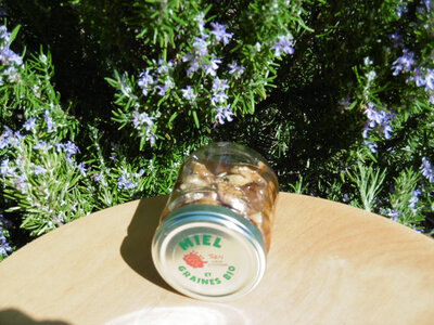 Miel de printemps et noix bio