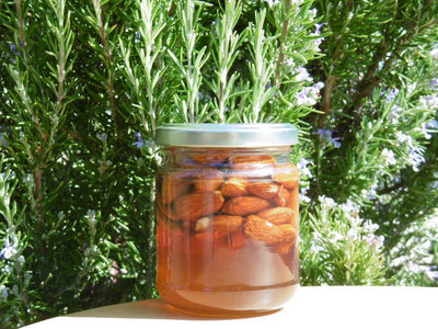 Miel de châtaignier et amandes bio