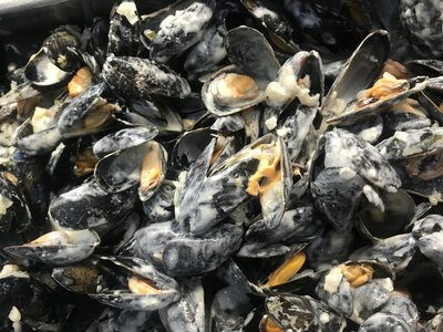 Moules à la crème