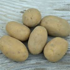 Pommes de terre ditta