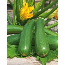 Courgettes
