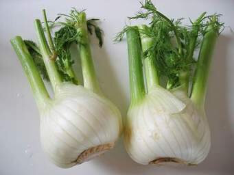 Fenouil