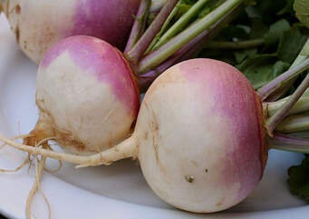 Navet violet