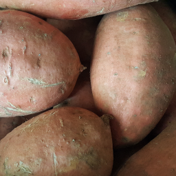 Patate douce