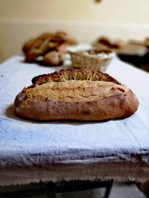 Pain au levain