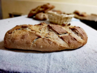 Pain levain aux noix 500g