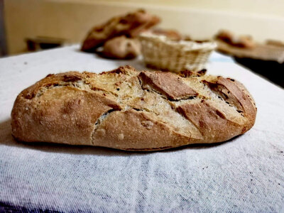 Pain levain aux noix 500g