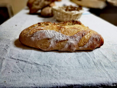 Pain levain et levure 500g