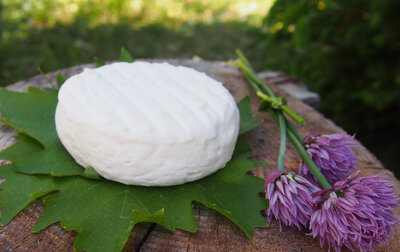 Palet frais pur chèvre