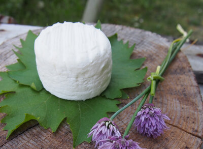 Crottin frais pur chèvre