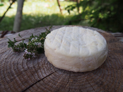 Palet demi-sec pur chèvre