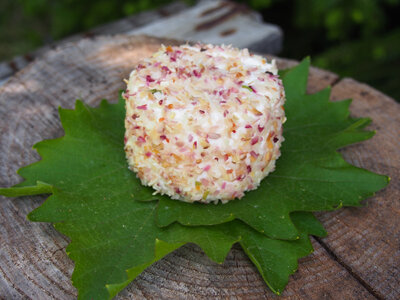 Crottin frais aromatisé échalotes