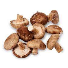 Shitake