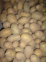 Pommes de terre ditta cal petit moye