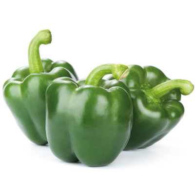 Poivron vert