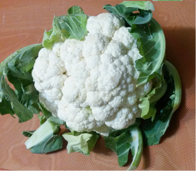 Chou suivant cueillette