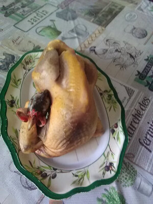 Grosse pintade