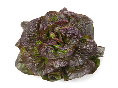 Salade rougette