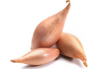 Echalions 500g