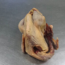 Pintade