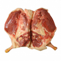 Paletot de canard gras