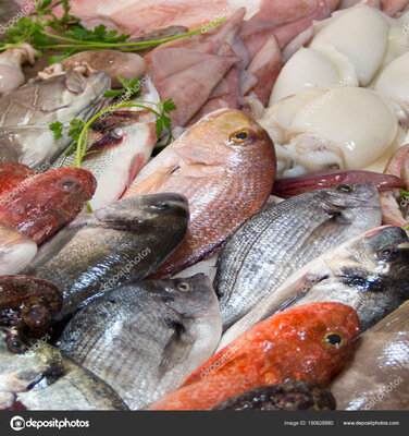 Pêche du jour 'poissons entiers'