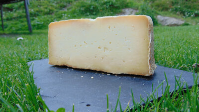 Tomme de chèvre 7 mois d'affinage