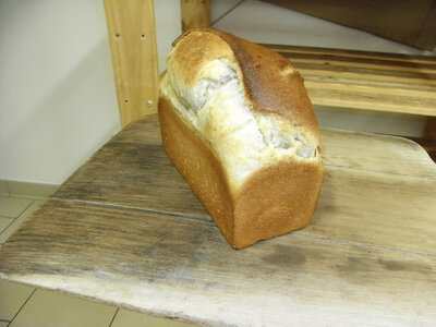 Pain brioché au levain