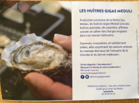 Huîtres gigas méduli