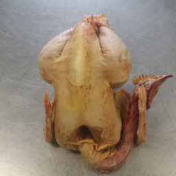Poulet