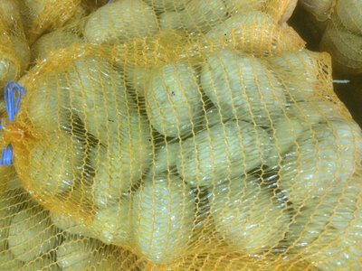 Pommes de terre bio chair fondante