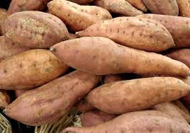 Patate douce
