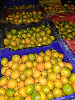 Mandarines 'nuleras'