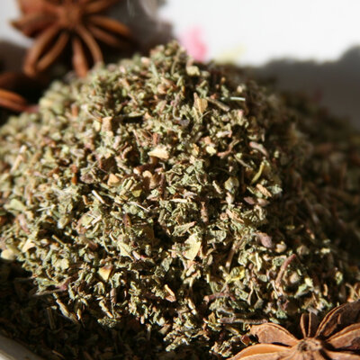 Cistus