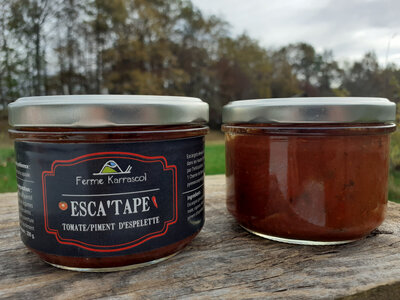 Esca'tape