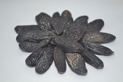 Fêve de tonka